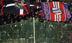 Cane al Crotone