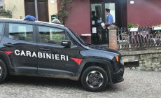 Sequestrati funghi per 60mila euro: non erano di Borgotaro 