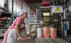 Joint venture tedesca per Rodolfi Mansueto