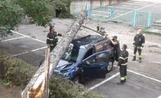 Salso, albero cade su un'auto nel parcheggio vicino alla scuola