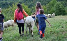 Pastorizia, progetto per bimbi con fragilità a Fornovo