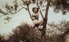 Quei ragazzi sugli alberi da frutto