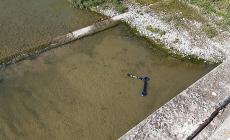 Cronache dall'incivilt&agrave;: il monopattino lanciato nelle acque della Parma