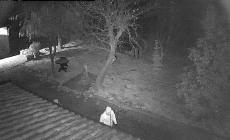 Casalbarbato, si accendono luci e telecamere: i ladri fuggono