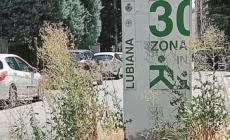 Parma, &laquo;Il verde di via Callani? Abbandonato&raquo;