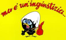 Torna Calimero, e protesta in 3D contro l'ingiustizia