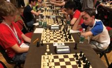 Torneo di scacchi, il Pd chiede chiarezza