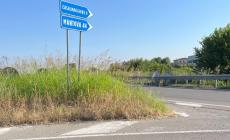 Interpellanza al sindaco di Colorno per gli sfalci alla rotatoria: «Ma la minoranza non sa che si trova a Torrile?»