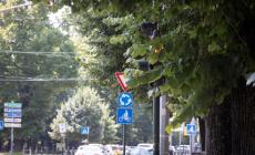 A Parma i semafori «giocano» a nascondino. Il verde incolto rende invisibili i segnali