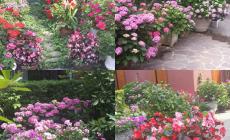 Primavera, voglia di fiori