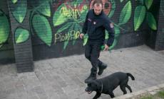 Neviano, anziana si allontana da una struttura: trovata morta