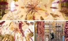 Rebecca Louise Law riconquista Parma con 200mila fiori