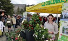 Va in scena «Varano in Fiore»