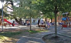 Tedeschi: «Verde pubblico, appalto di 6 anni per garantire la programmazione»