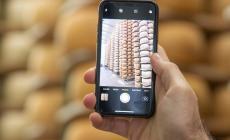  Caseifici Aperti: la bellezza del Parmigiano - Foto