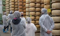 Caseifici aperti, un viaggio "dentro" la forma di Parmigiano Reggiano