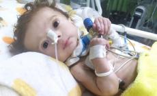 Domani il bimbo di Gaza Seifeddin sarà sepolto a Parma: è il simbolo della pace