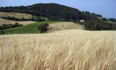In aumento gli infortuni in agricoltura 