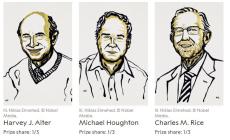 Il Nobel per la Medicina a tre virologi per studi sull'Epatite C