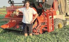 Filippo Carrara: basilico, che passione. &laquo;Ne coltivo 50 ettari l'anno&raquo;