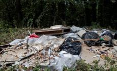 All'appello per il bosco di Tommy in tanti rispondono; sindaco compreso
