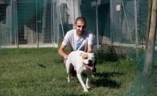 340 animali in attesa di un nuovo padrone
