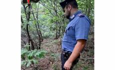 Il teschio nel bosco: la procura nomina un consulente. Si riaprono i casi degli scomparsi