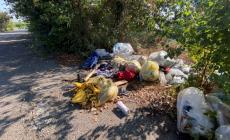Via Liani, la &laquo;tangenzialina&raquo; diventata discarica