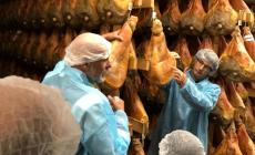 Utini: &laquo;Il Festival? Occasione unica per valorizzare il territorio&raquo;