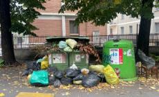 Rifiuti abbandonati, in un anno raccolte 98 tonnellate per le strade