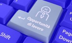 11 opportunità per chi cerca lavoro