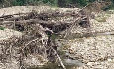 «Stirone, piante e rami sotto i ponti fanno paura»