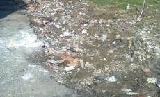 Ripulita la discarica abusiva a Beneceto