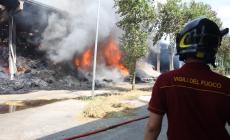 Circa 1.500 rotoballe in fiamme: danni ingenti a Roccabianca