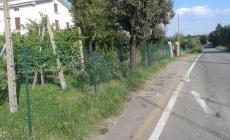 «Un pirata mi ha sfondato la siepe»