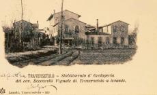 Quando a Vignale di Traversetolo «batteva il tempo» degli orologi di lusso