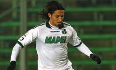 Schelotto, levriero per i mussi