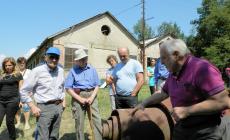 Viaggio nel tempo per riscoprire la "miniera" del petrolio