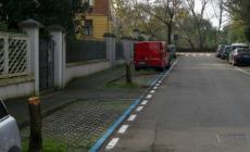 Motoseghe in azione in via Villa: scatta la protesta dei residenti