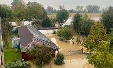 «Eia, finita sott'acqua per la paratia di un canale rimasta abbassata»