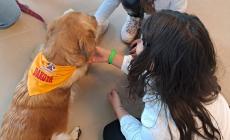 «Insieme a 6 zampe»: la Pet therapy in ospedale per migliorare la vita dei pazienti