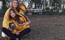 Annalisa:  il liceo, l'autogrill poi la svolta. «Io apicoltrice fra natura, fatica e amore»  