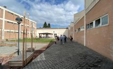 We Tree, un'oasi con 100 alberi per il Campus di via Toscana