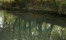 Visita guidata  ai Fontanili  di Viarolo