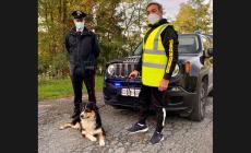 Langhirano, carabinieri  e  SOS salvano due cani caduti in una buca piena d'acqua - Foto