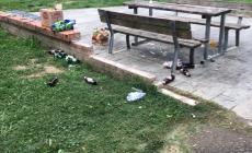«Aree verdi in balia dei vandali. E il quartiere dimenticato»