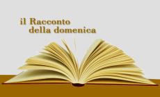 Nella foresta lappone