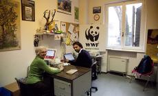 Ex sede della Pubblica il Wwf chiede spazio