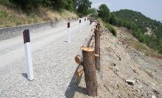 Riaperta la strada provinciale per Signatico