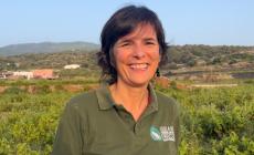 Le sfide di Sonia Anelli, la nuova direttrice parmigiana del Parco nazionale delle Dolomiti Bellunesi
